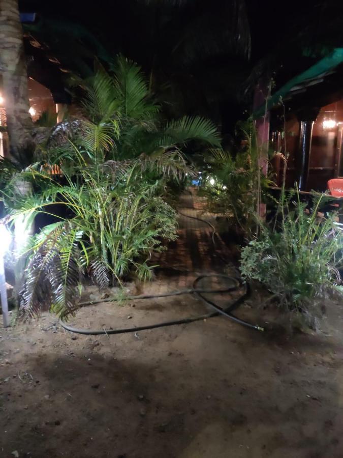 فندق Casa Fiesta بالوليم المظهر الخارجي الصورة