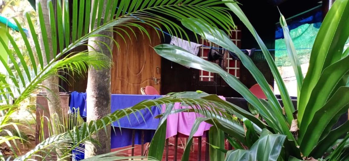 فندق Casa Fiesta بالوليم المظهر الخارجي الصورة
